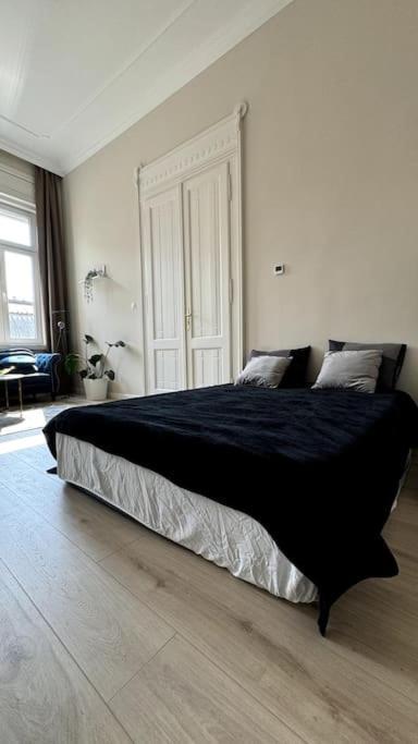 Stylish Parisian 3br In Budapest, Sleeps 9 Apartment Budapest